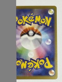 Mega Skarmory ex (arka)