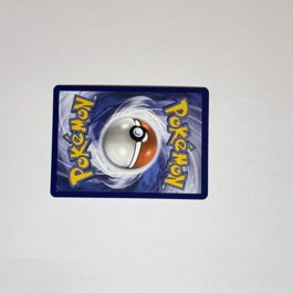 Vivillon [Reverse Holo] (arka)