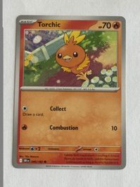 Torchic
