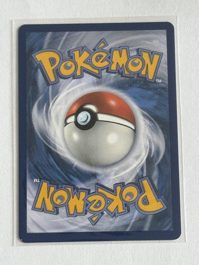 Brock's Scouting (arka)